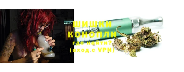 стаф Осташков