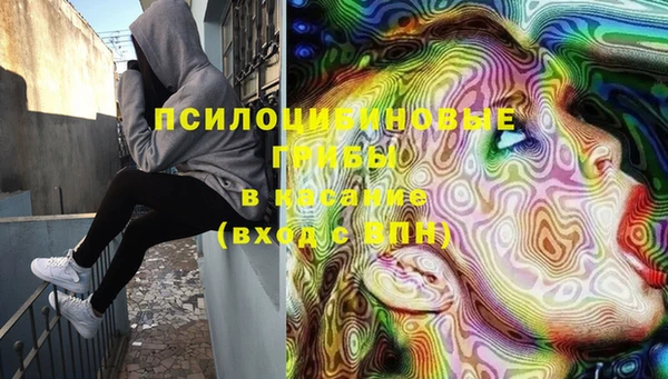 стаф Осташков