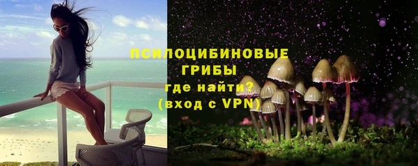 стаф Осташков