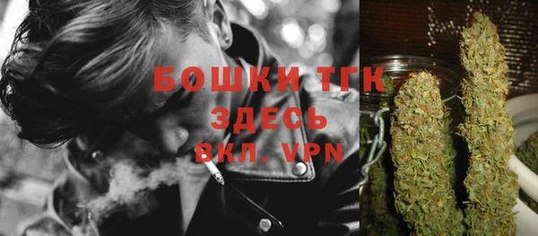 ALPHA PVP Осинники