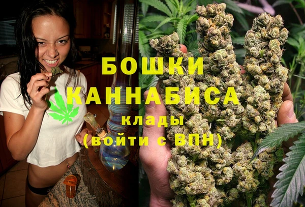 ALPHA PVP Осинники