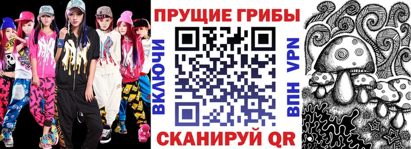 купить наркотик  shop какой сайт  Галлюциногенные грибы Psilocybe  Киренск 