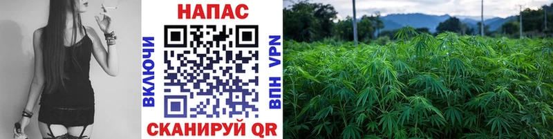 где купить наркоту  Киренск  Бошки марихуана VHQ 